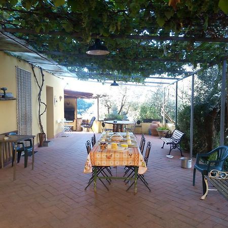 Agriturismo Il Cavallone Βίλα Montelupo Fiorentino Εξωτερικό φωτογραφία