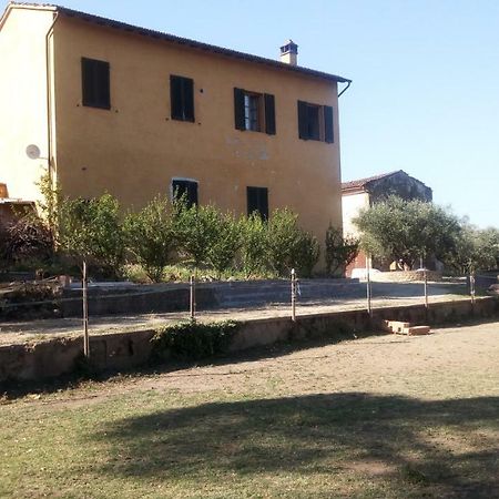 Agriturismo Il Cavallone Βίλα Montelupo Fiorentino Εξωτερικό φωτογραφία